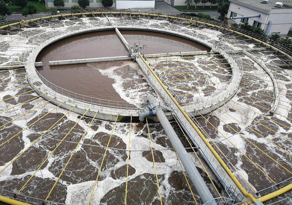 Si Chuan Hua Qiao Feng Huang Paper Company